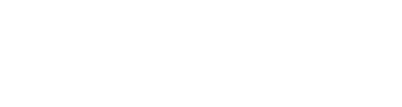 Litigation, P.C. Law Firm